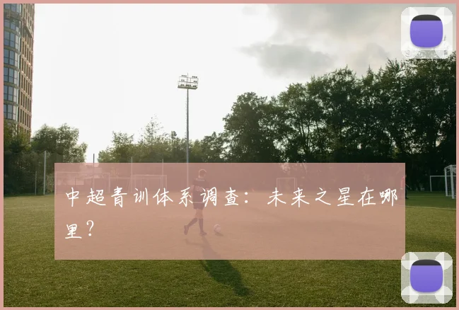 中超青训体系调查：未来之星在哪里？
