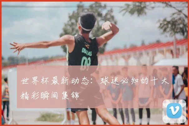 世界杯最新动态：球迷必知的十大精彩瞬间集锦