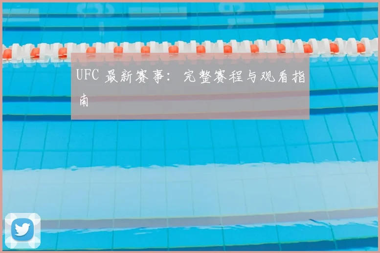 UFC 最新赛事：完整赛程与观看指南